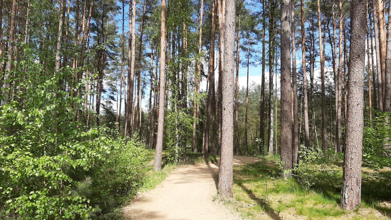 Forest Rooms Bad Bevensen Dış mekan fotoğraf